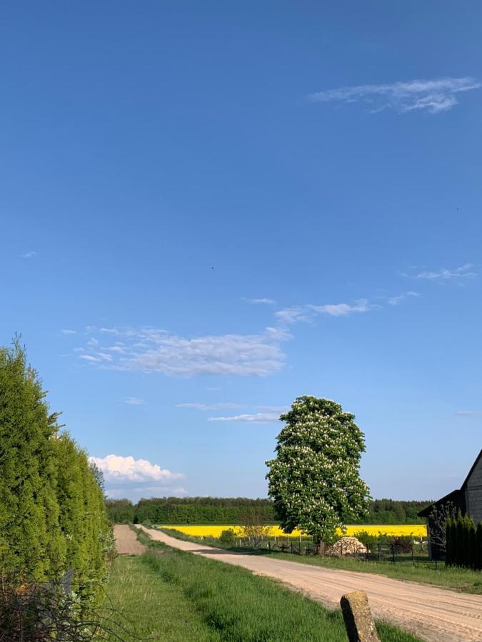 Siedlisko Glinnik Esterno foto
